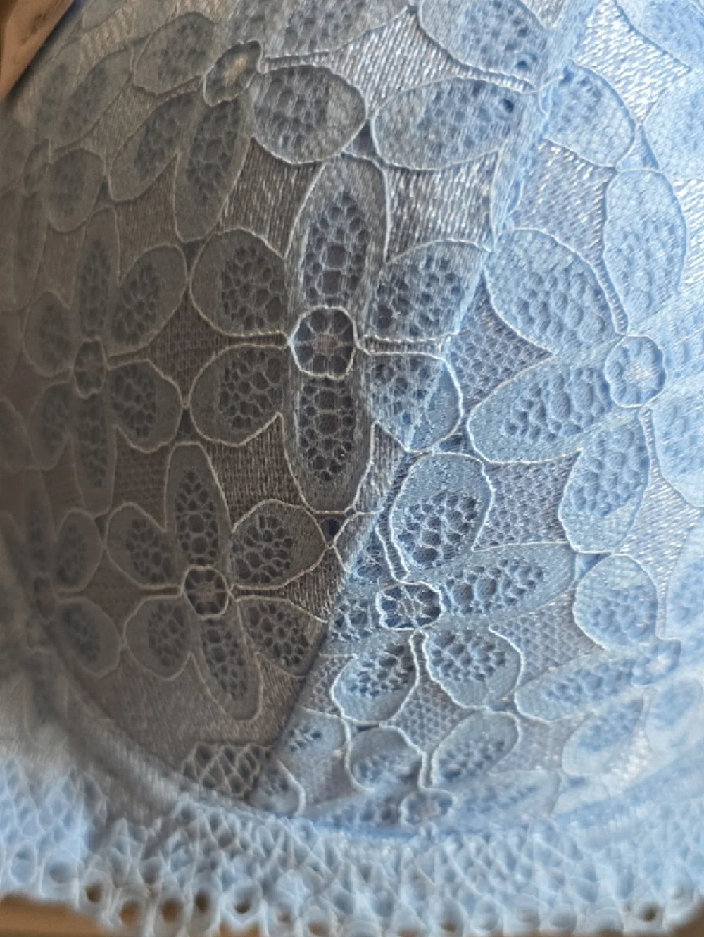 Rene Rofe Lace Push-Up Bra in Light Blue & Beige - Picture 5 of 11